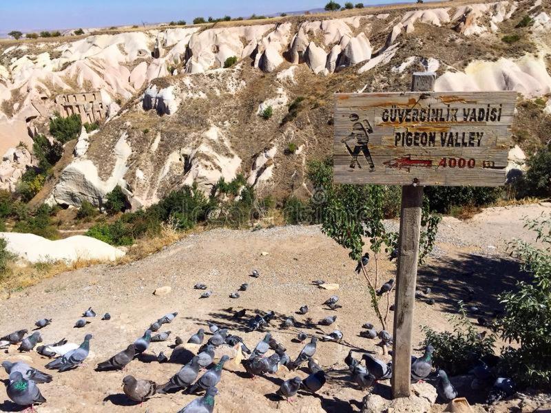 אוצ'יסר Pigeon Valley Stone House מראה חיצוני תמונה